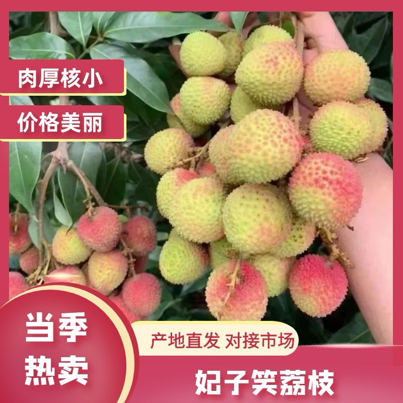 【推荐】广东荔枝妃子笑荔枝质量保证价格优惠欢迎来电