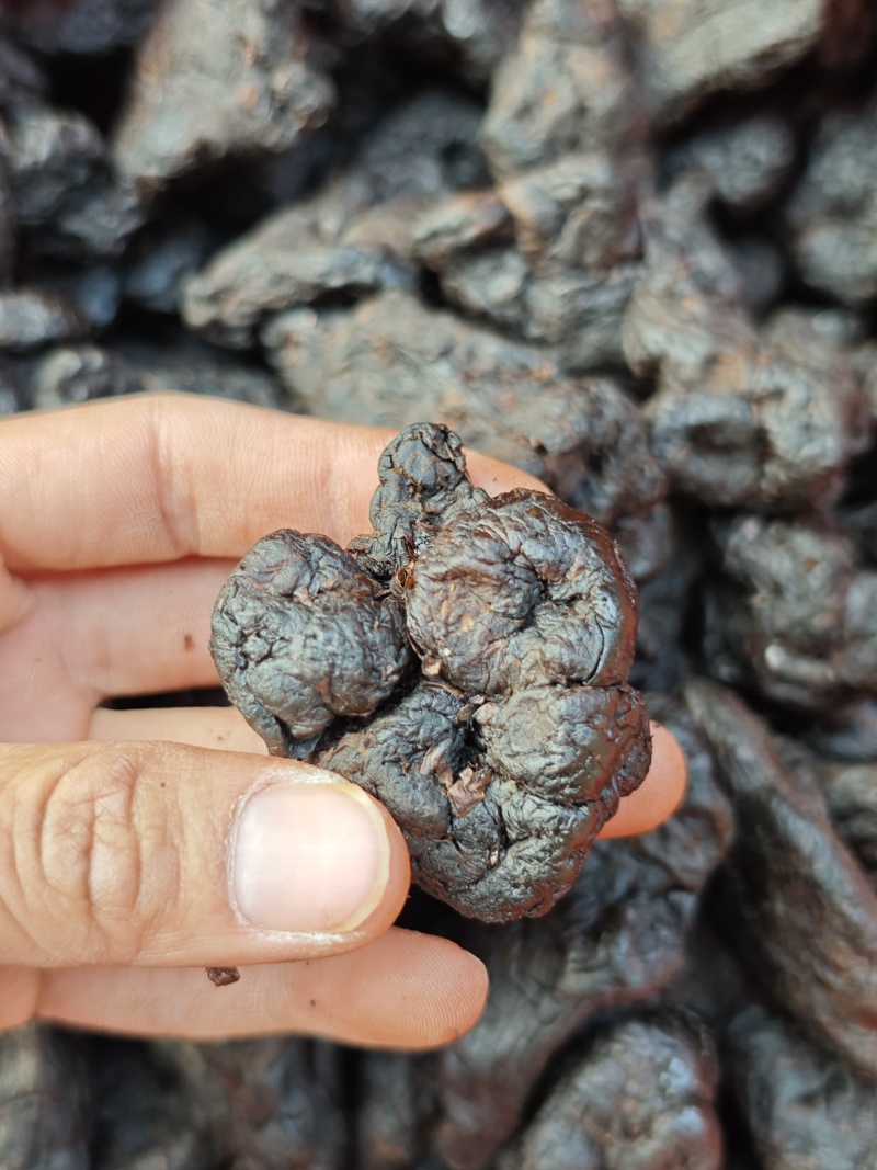 九蒸九晒软黄精——大货批发，量大价优