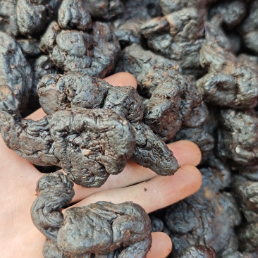 九蒸九晒软黄精——大货批发，量大价优