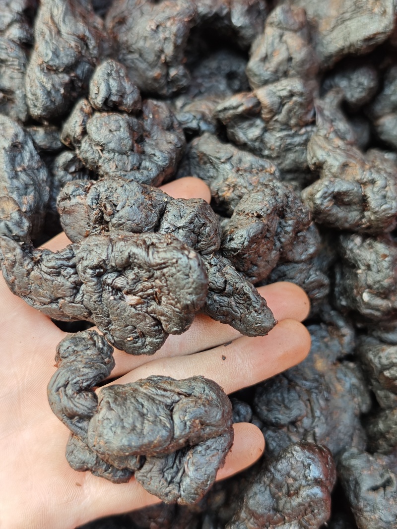 九蒸九晒软黄精——大货批发，量大价优