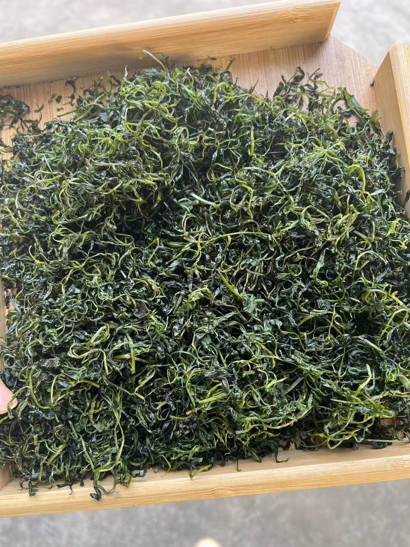 小叶苦丁茶口感好青山绿水1斤起包邮
