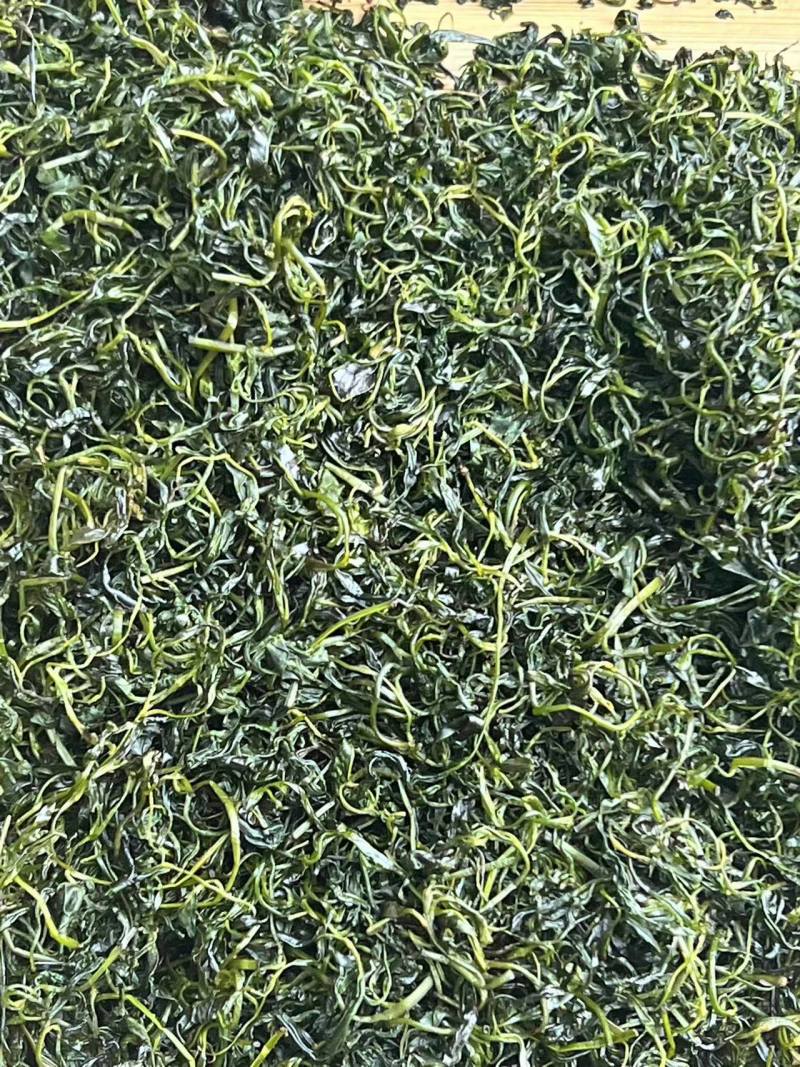 小叶苦丁茶口感好青山绿水1斤起包邮