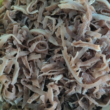 毛肚边角料黑毛肚百叶碎千层肚自助餐火锅食材