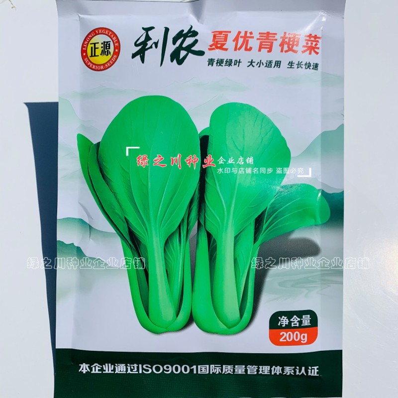 正源利农夏优青梗菜种子耐热耐雨水抗热青梗绿叶菜种籽夏秋季菜籽