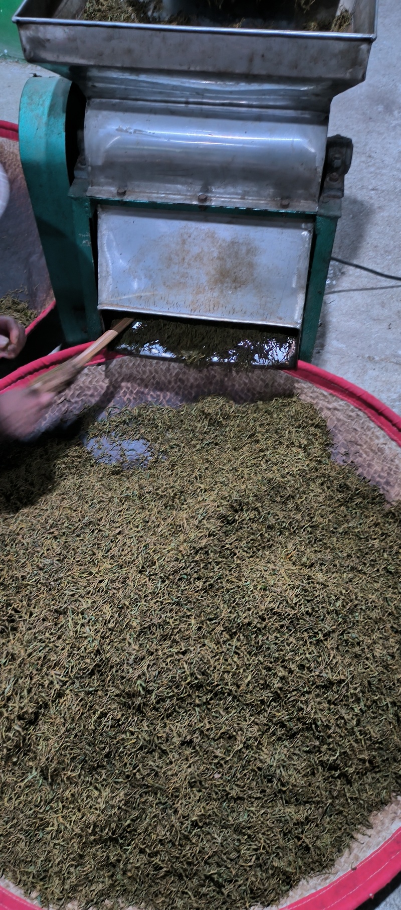 湖南高山富硒红茶(梅占，大毫，金观音)