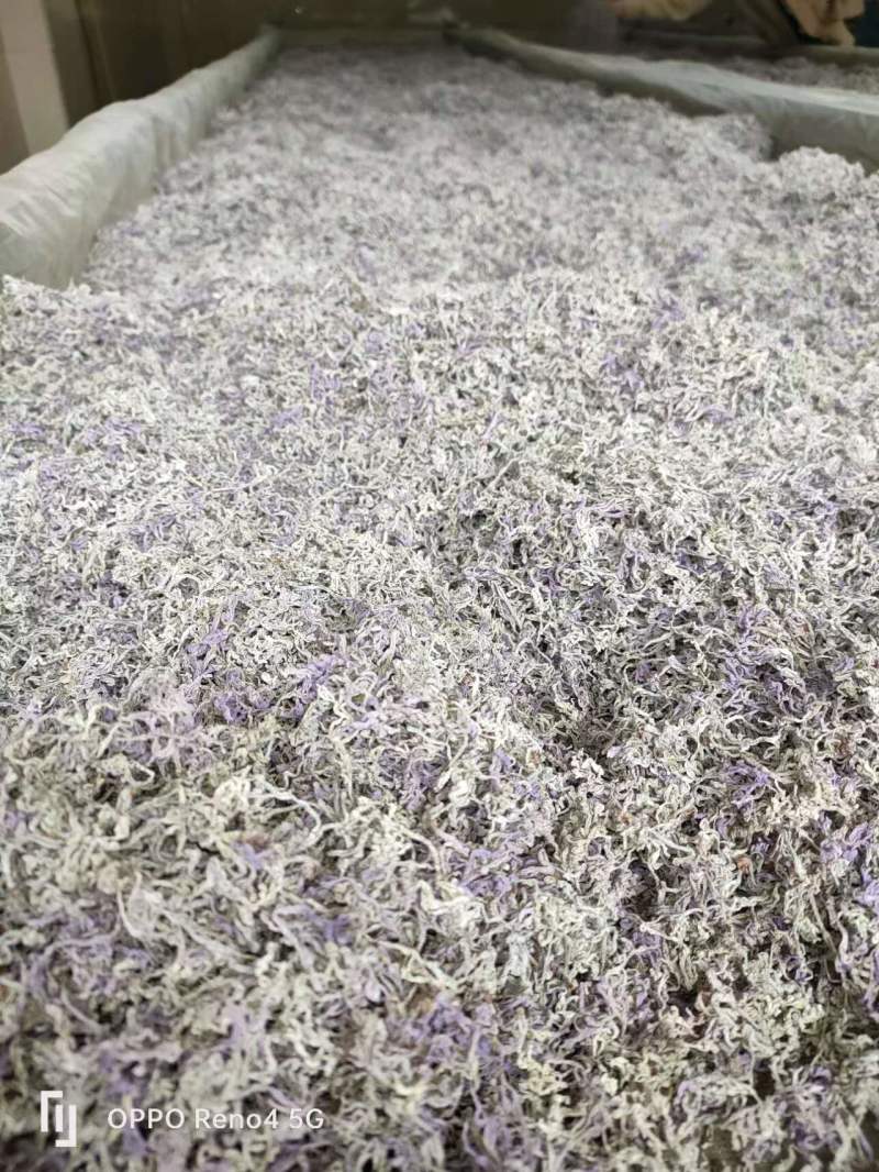 恩施高山藤茶