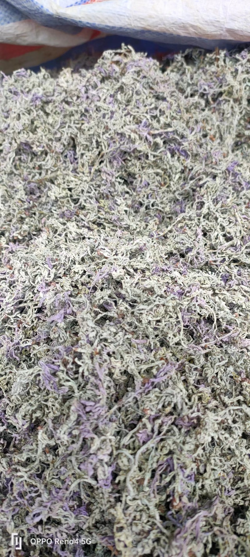 恩施高山藤茶