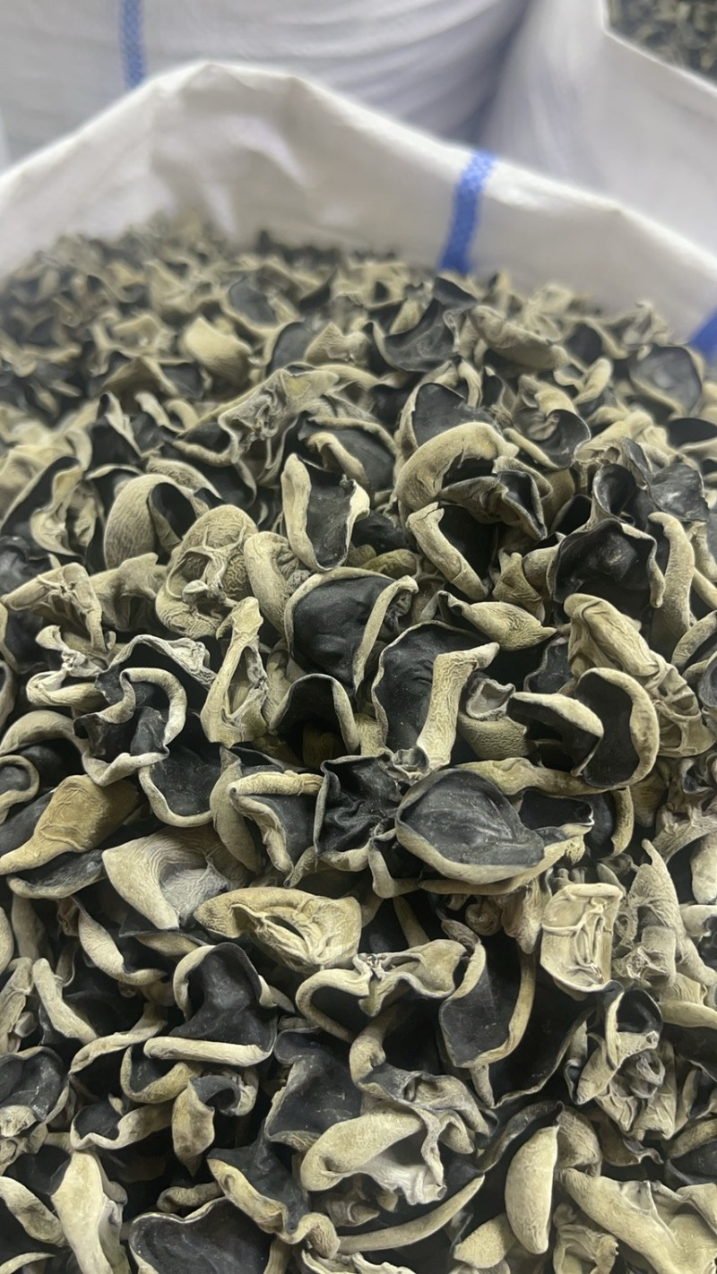 黑龙江哈尔滨木耳产地直发，电商货量大从优，欢迎采购