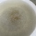 麦鲮水花苗桂花鱼鳜鱼饵料鱼水花苗鱼仔