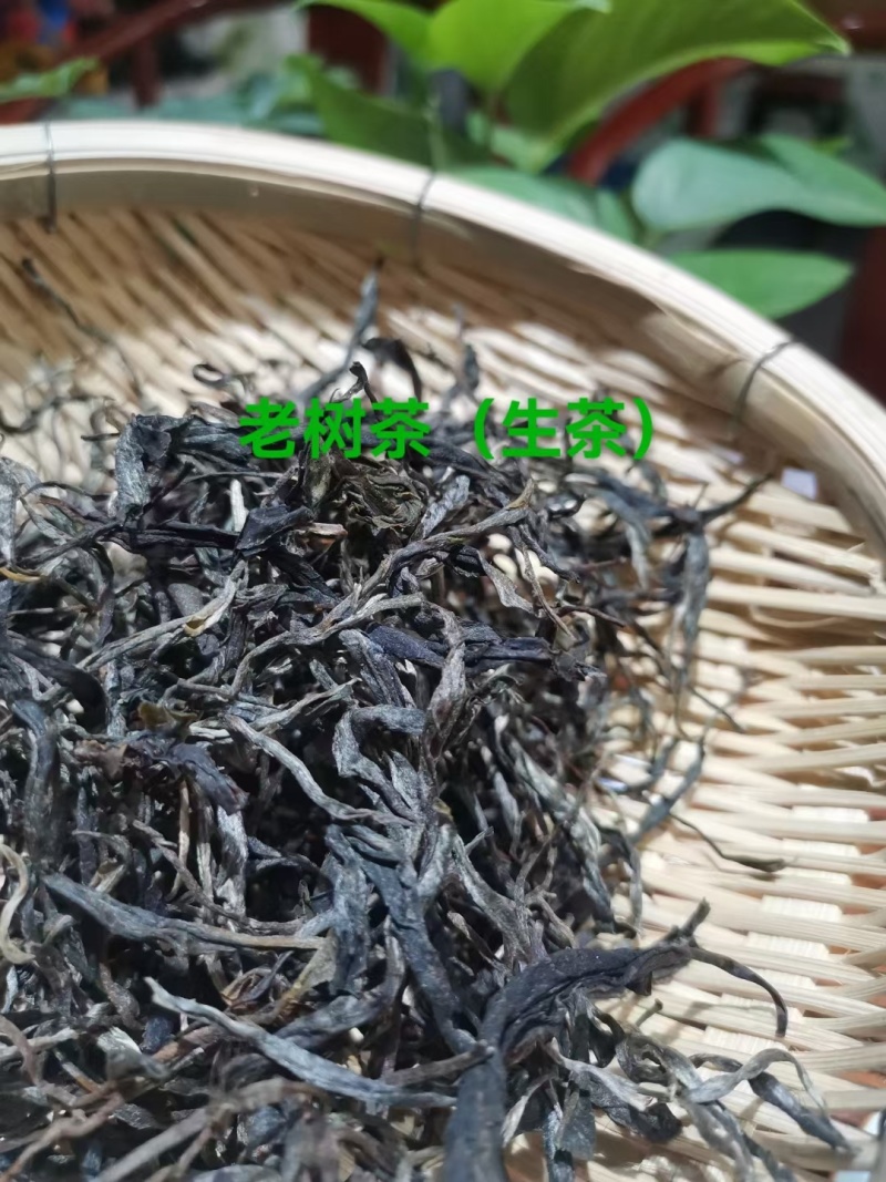 茶叶