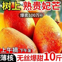 【贵妃芒】海南贵妃芒果三亚热带当季时令新鲜现摘水果