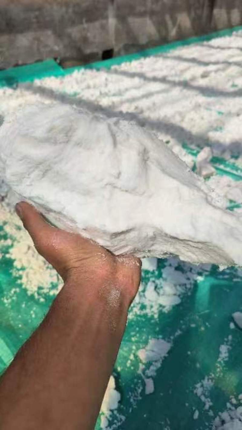 芭蕉芋淀粉大量出货厂家直达品质保证诚信经营量大从优