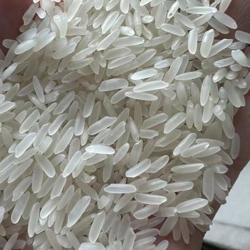大米厂家现货金龙鱼大米长粒香米碎米珍珠米价格优惠