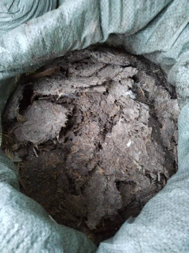 【推荐】干鸡粪，合适各种瓜果蔬菜货源充足