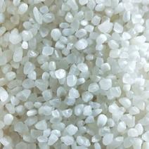米厂现货供应碎米陈碎米陈米全国发货价格