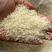 米厂现货供应碎米陈碎米陈米全国发货价格优惠
