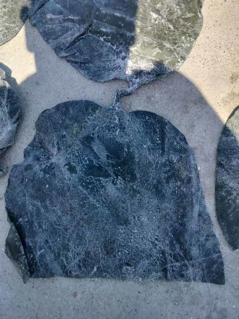 海带头展会地摊电商海带皮盐渍海带头海带干海带丝海带