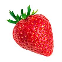 云南夏季商用草莓新鲜采摘