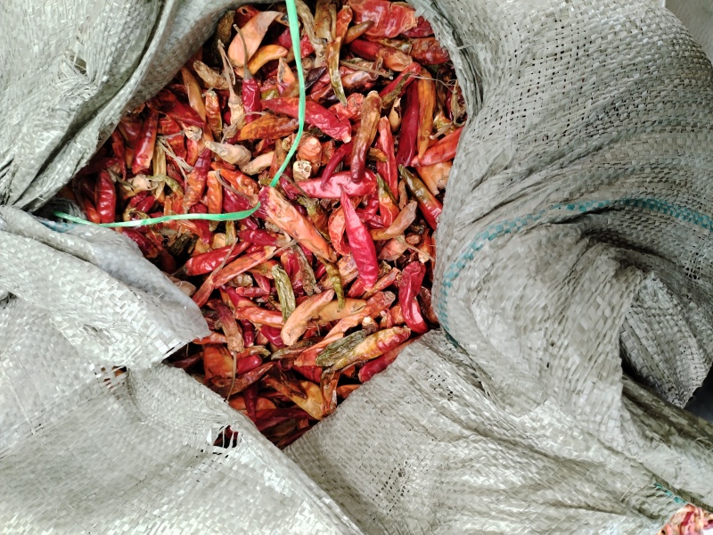 辣椒干辣椒朝天椒花皮辣椒产地发货对接全国货源充足欢迎来电