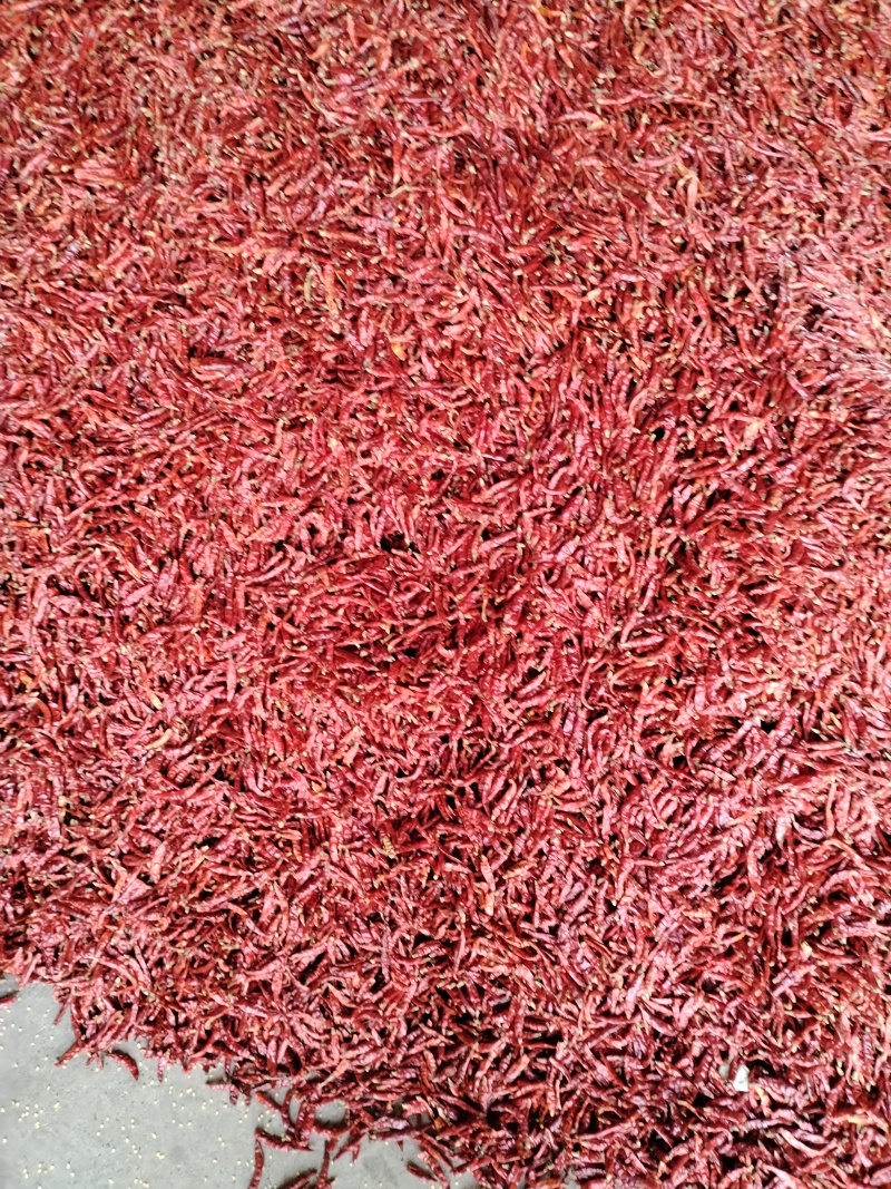 辣椒干辣椒朝天椒花皮辣椒产地发货对接全国货源充足欢迎来电