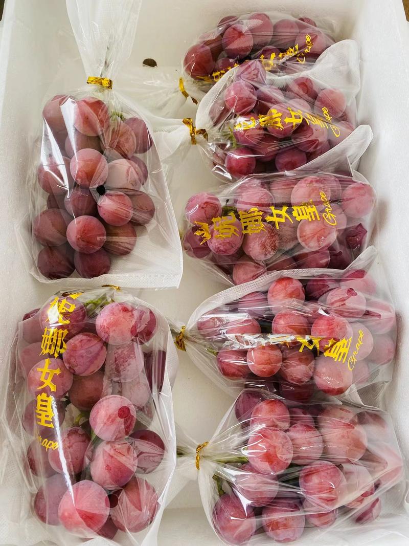 云南精品妮娜皇后葡萄，一手货源，品种齐全，价格便宜，视频看货