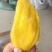 芒果干展会地摊电商芒果泰国芒果干干芒果蜜饯果脯