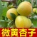 河北麦黄杏，大量上市中，日收50万斤产地一手货源保质保量