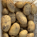 华州区沃土土豆二两半起步开始大量出货质量好支持视频看货
