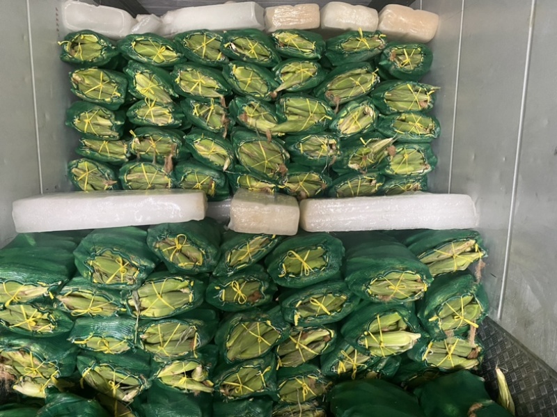 万糯2000糯玉米🌽无虫、颗粒饱满、个大、皮色好、代发