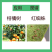 勇冠植轻松45%联肼乙螨唑杀螨剂柑橘树红蜘蛛联苯肼酯乙螨唑