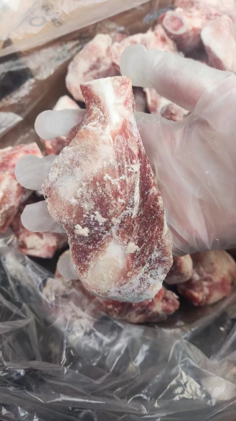 前腿骨块