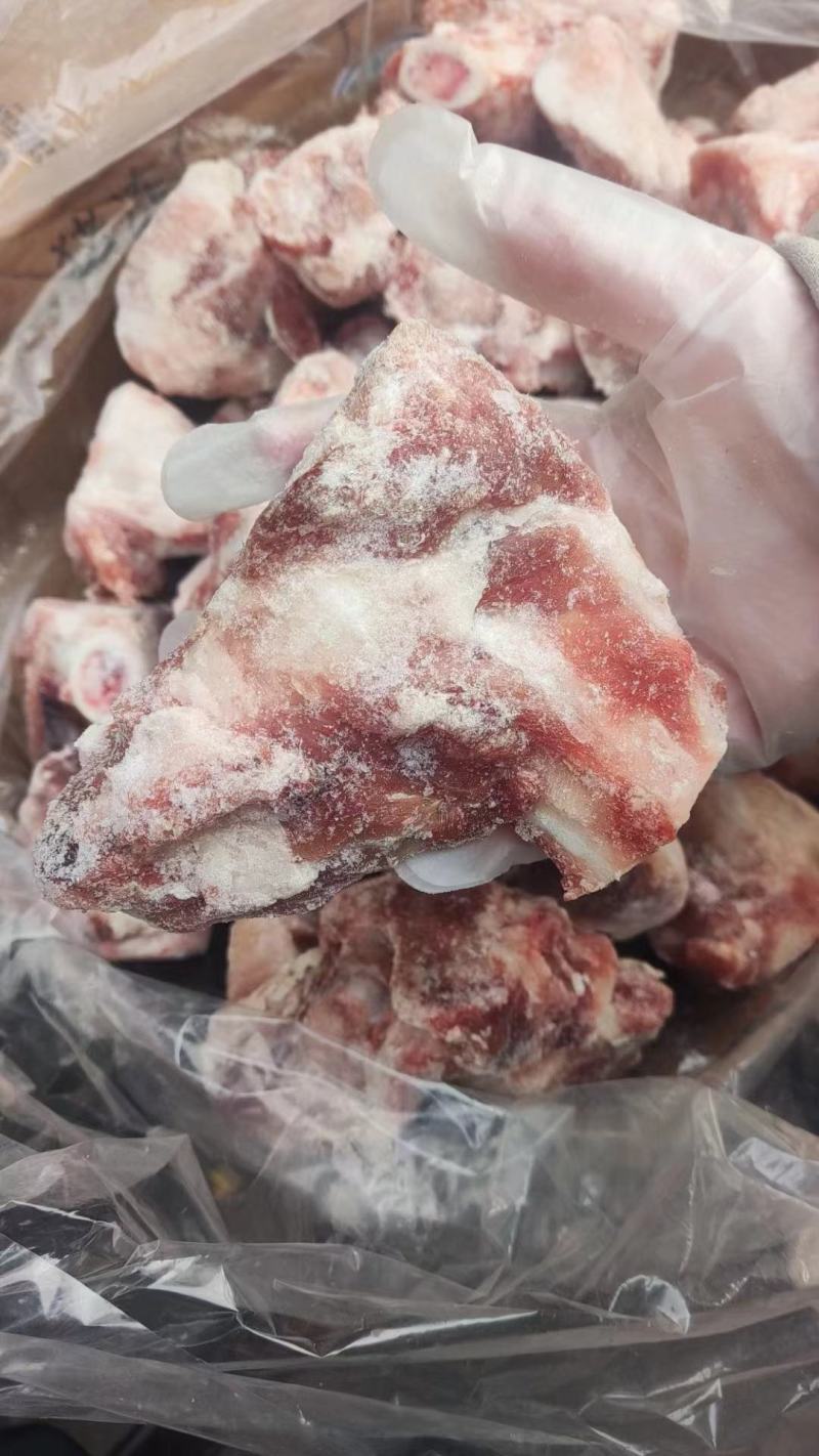 前腿骨块