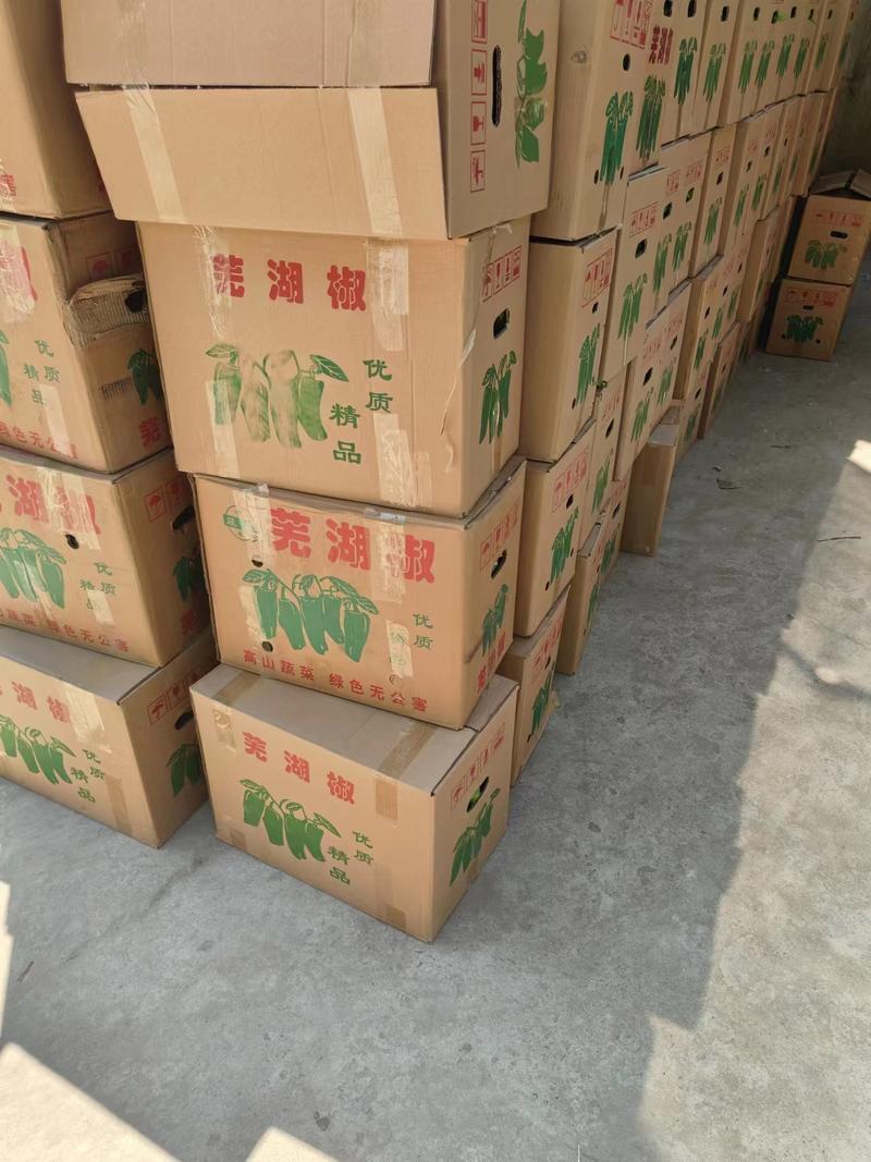 芜湖椒安徽鲜辣椒大量供应中产地直发品质保障市场批发