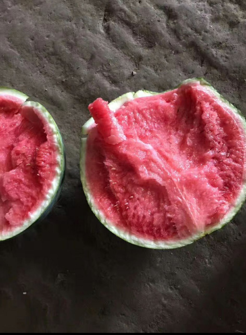 无籽麒麟西瓜，自家种的，保熟保甜，欢迎光临采购。