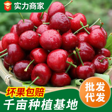一件代发大樱桃美早先锋红灯对接电商社区团购抖音快手