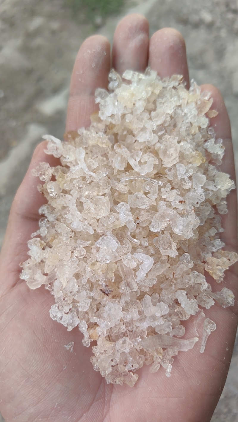 雪燕小颗粒小包装雪燕粉，代发