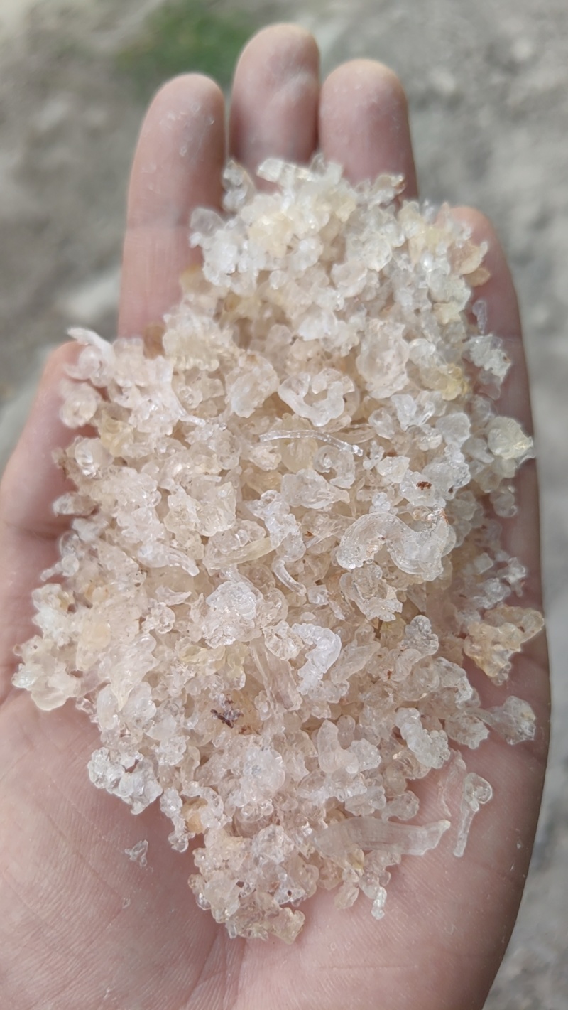 雪燕小颗粒小包装雪燕粉，代发
