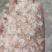 雪燕小颗粒小包装雪燕粉，代发
