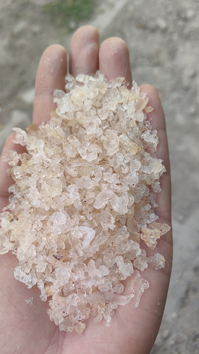 雪燕小颗粒小包装雪燕粉，代发