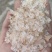 雪燕小颗粒小包装雪燕粉，代发