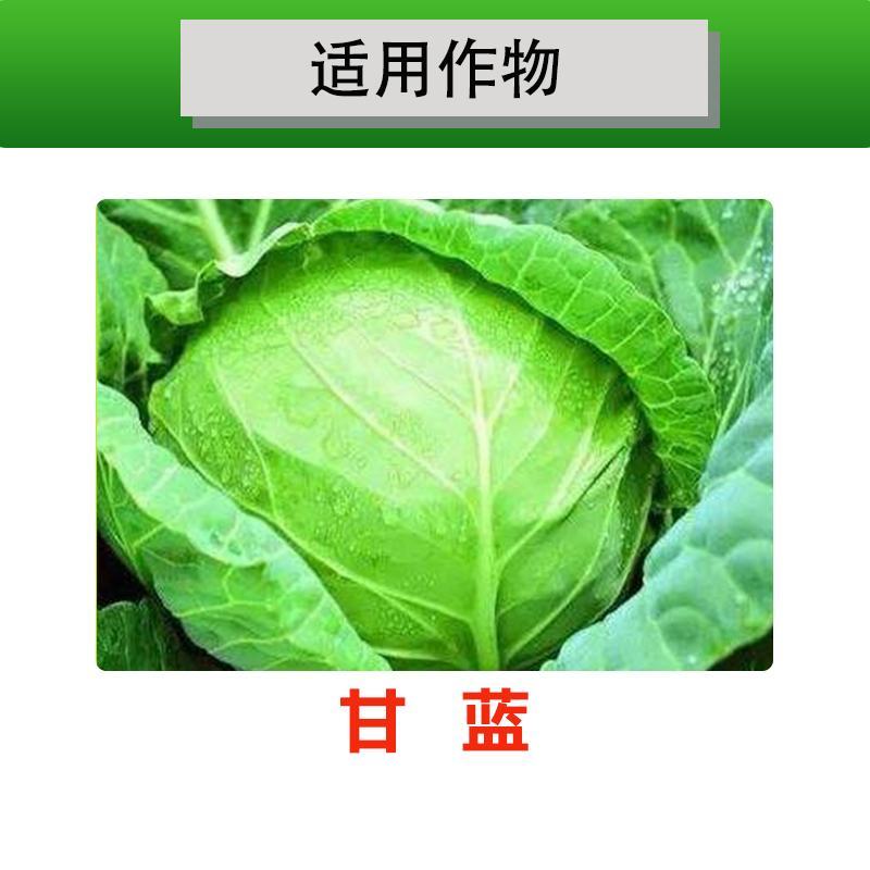 虱螨脲杀虫杀卵虫卵双杀甘蓝甜菜夜蛾肉虫毛毛虫蛆杀虫药