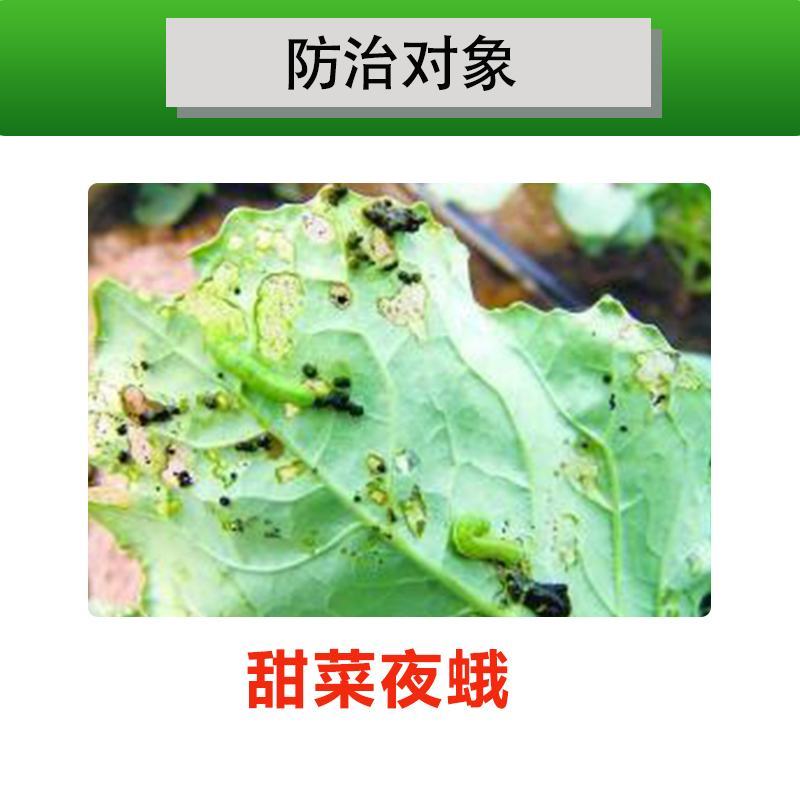 虱螨脲杀虫杀卵虫卵双杀甘蓝甜菜夜蛾肉虫毛毛虫蛆杀虫药