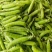 2026年湖北豌豆荚，甜豌豆，中豌九号，豌豆角，产地直发