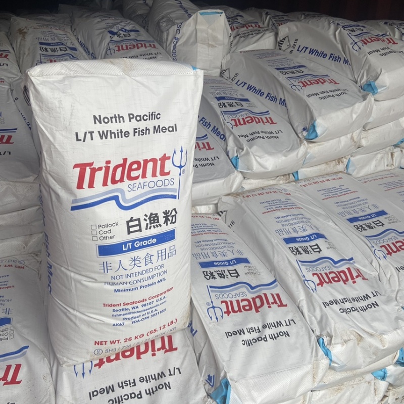 美国进口白鱼粉适用于:鳗鱼龟鳖桂花鱼观赏鱼母猪等做饲料