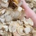1.0到1.4西洋参残片，250克装，品相一般，功效很强