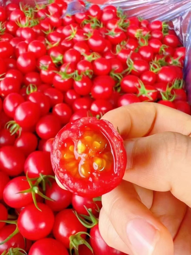 樱桃小番茄