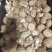 山西高原高品质香菇品质优可视频看货欢迎咨询
