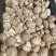 山西高原高品质香菇品质优可视频看货欢迎咨询