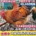 肉鸡苗