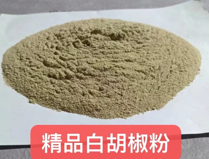 黑胡椒粉和白胡椒粉量大质优价格优惠欢迎咨询采购